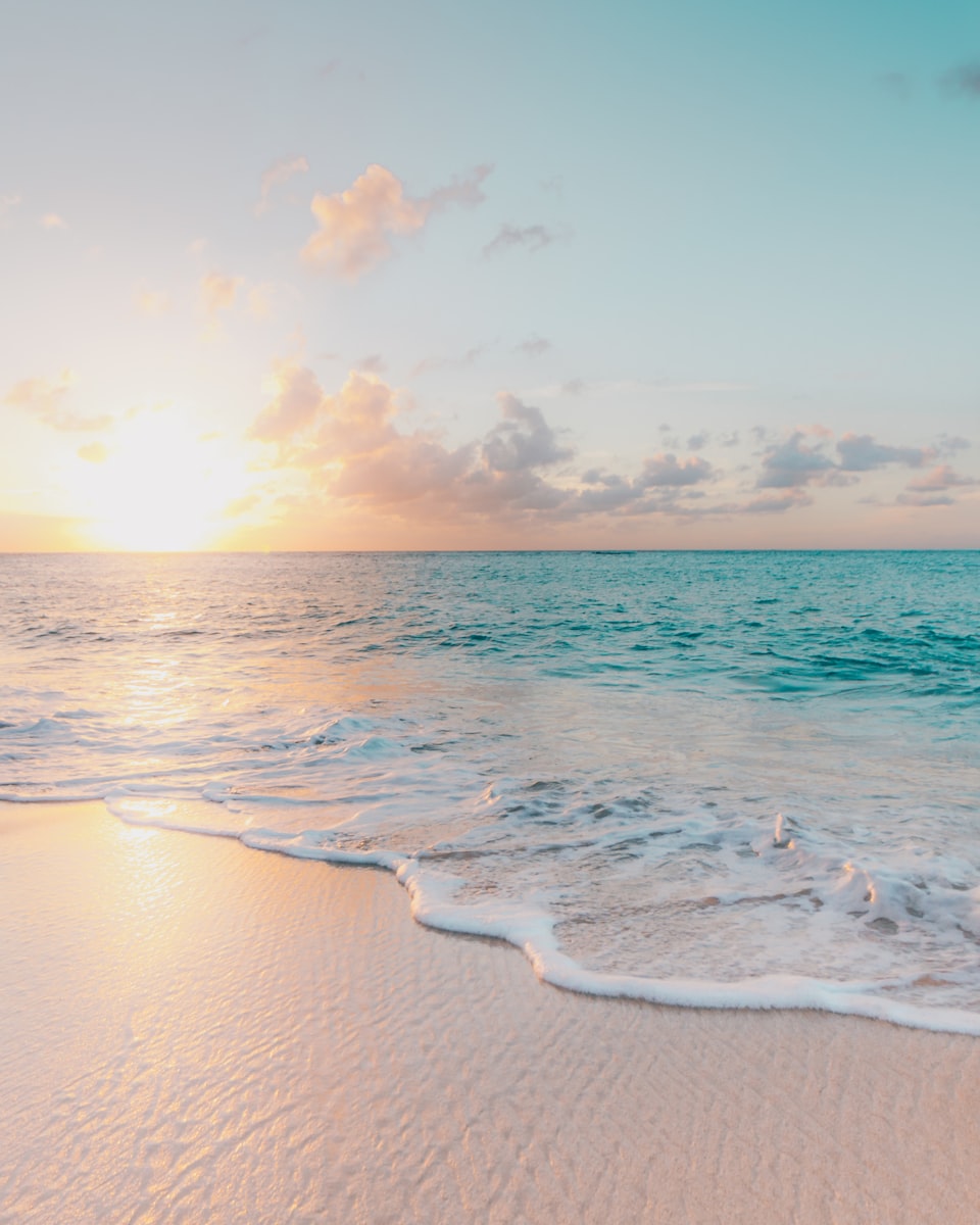 Сопровождение